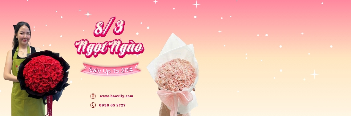 Banner 8-3 - hoavily