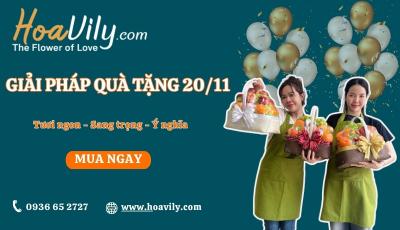 199+ Giỏ quà trái cây tặng 20/11 Tươi Ngon, Sang, Đẹp