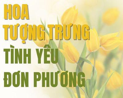 TOP 5 loài hoa tượng trưng cho tình yêu đơn phương đầy xao xuyến