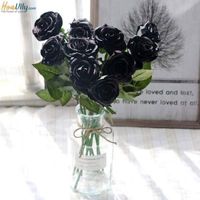 6 Loài hoa tượng trưng cho sự cô đơn và bình yên nội tâm 