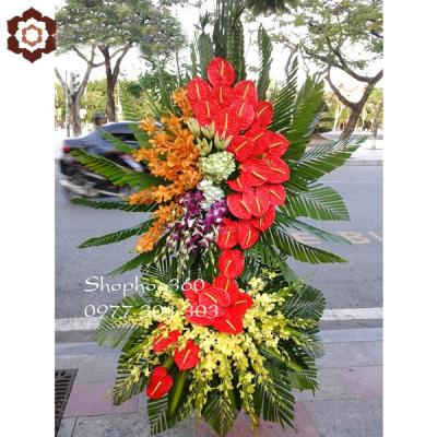Kệ hoa khai trương ấn tượng