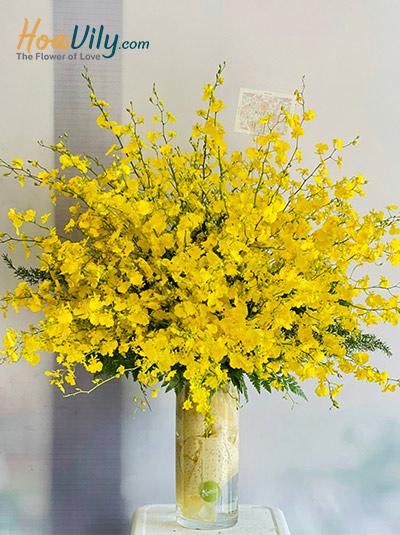 Bình hoa chúc mừng - Vũ điệu của nắng