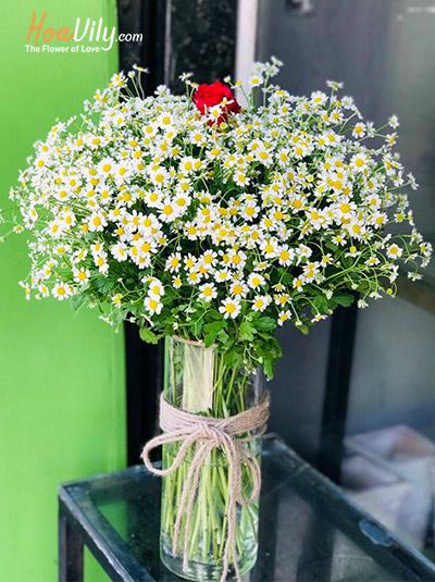 Bình hoa Cúc tana - Hương đồng nội