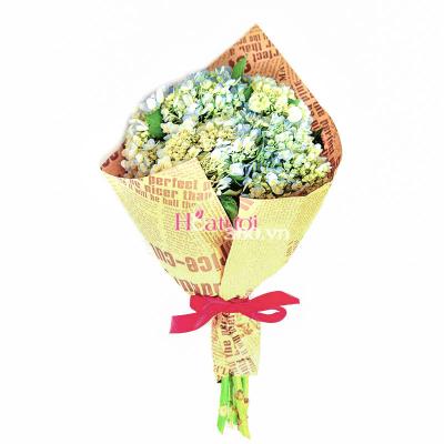 Hoa cắt cành, hoa tươi cắt cành tươi đẹp Hoa cắt cành, hoa tươi cắt cành tươi đẹp