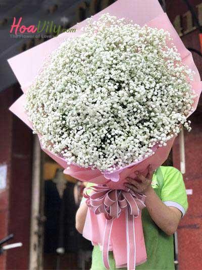 Bó hoa baby Hà Lan đốn tim nàng