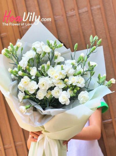 Bó hoa cẩm chướng - Sắc nở