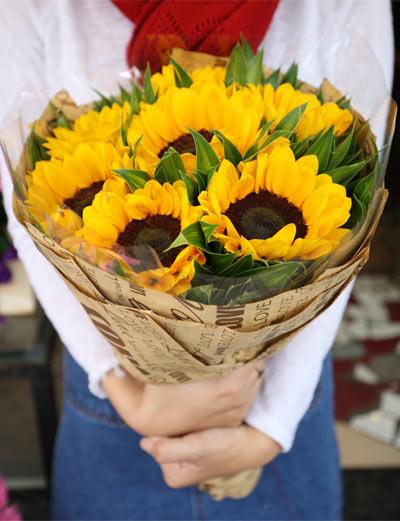 Bó hoa hướng dương xinh