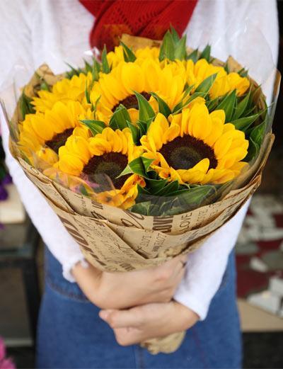 Bụi TRần