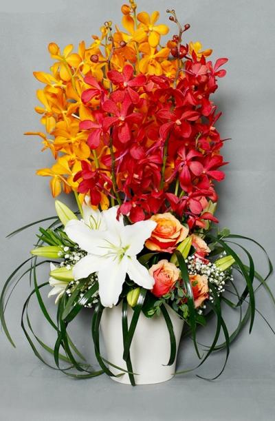 hoa tươi định kỳ hòa hợp hoa tươi định kỳ hòa hợp