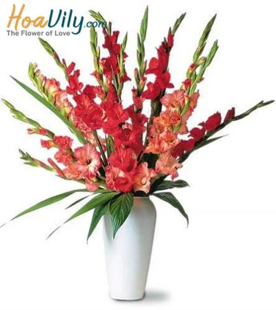 Cách cắm hoa lay ơn đẹp, tươi lâu sau 14 ngày