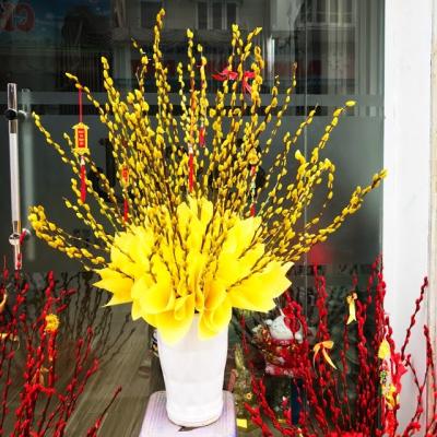 Cách cắm nụ tầm xuân ngày Tết đẹp tươi lâu và ý nghĩa
