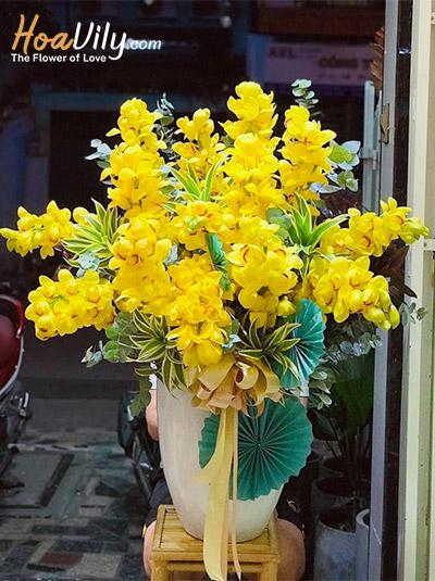 Chậu hoa địa lan - Đắc lộc vạn gia
