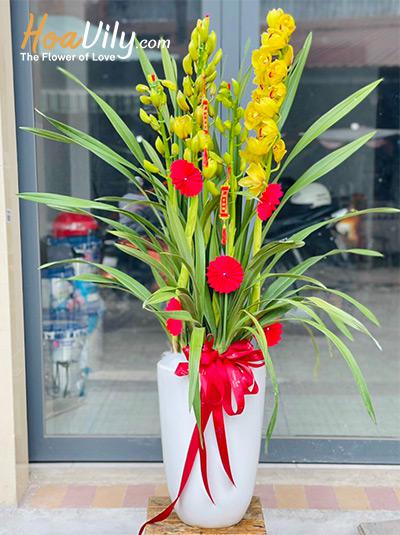 Chậu hoa địa lan - Gia đình phú quý