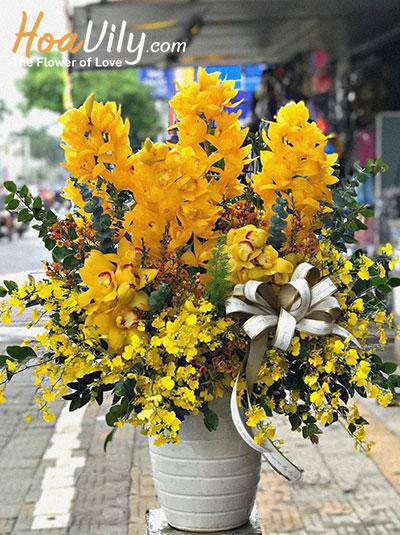 Chậu hoa địa lan - Lộc về đầy tay
