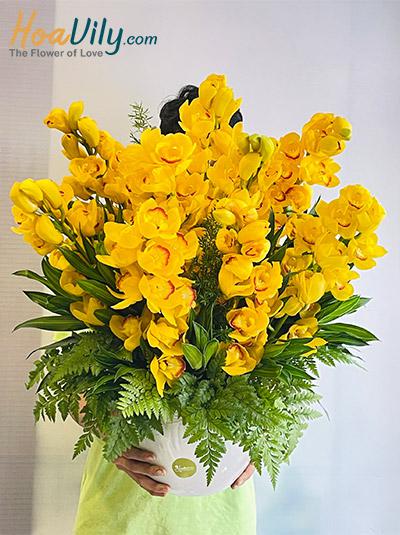 Chậu hoa địa lan - Phát tài đầu xuân