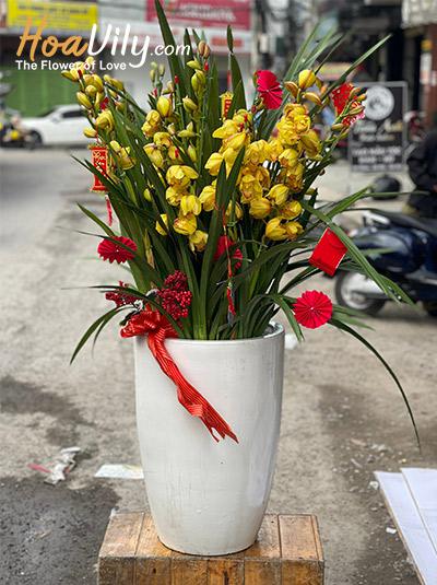 Chậu hoa địa lan - Thịnh vượng
