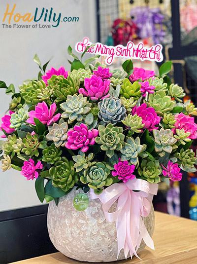 Chậu hoa sen đá - Vạn sự khởi sắc