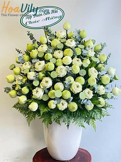 Chậu hoa sen trắng - Đời đời ấm êm