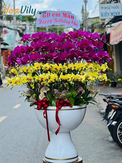 Chậu lan hồ điệp kết hợp - Vinh hoa phú quý