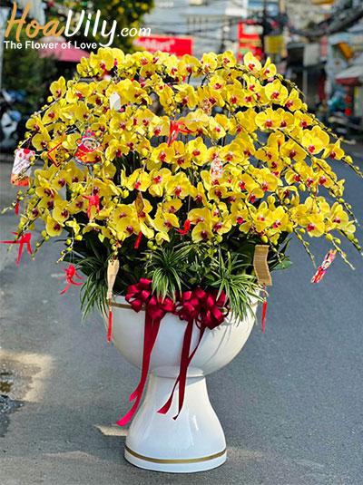 Chậu lan hồ điệp vàng - Phú quý lộc tài