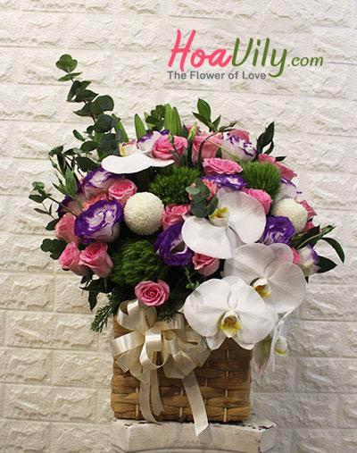 Chúc mừng ngày khai trương