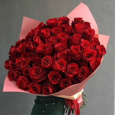 Hoa hồng ecuador trở nên khác biệt nhờ điều gì ?