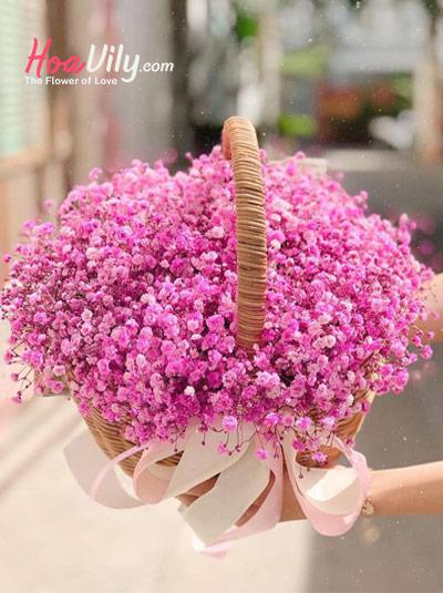 Giỏ hoa baby hồng - Giấc mơ hoa