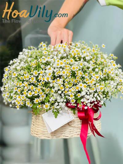 Giỏ hoa cúc tana - Hạnh phúc mỗi ngày
