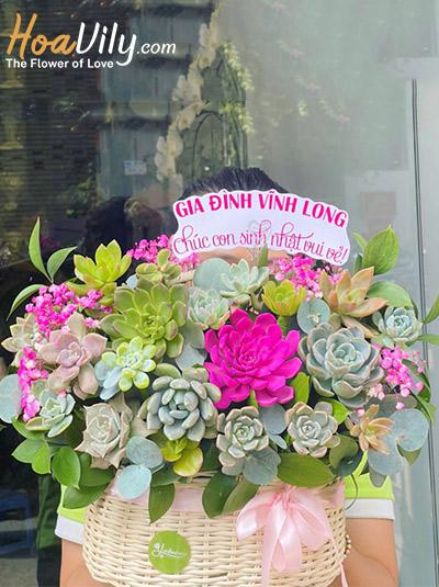 Giỏ hoa sen đá - Nhất lộ sinh hoa