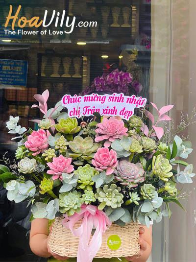 Giỏ hoa sen đá - Vẻ đẹp hiện đại