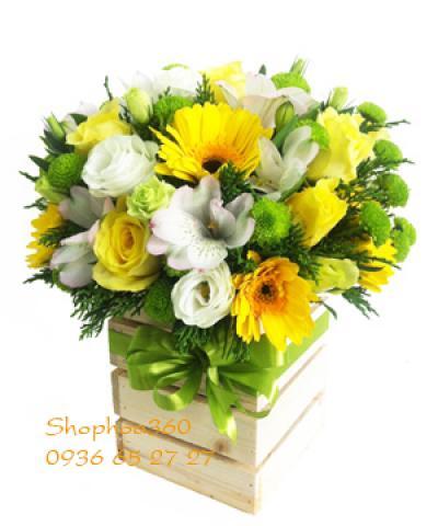 Hoa chúc mừng 20/11-17