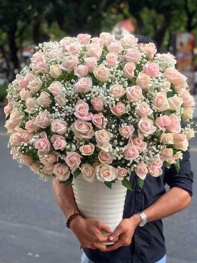 Hoa chúc mừng- Điều giản đơn