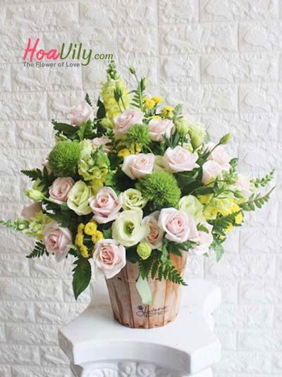 Hoa chúc mừng - Hương mùa hè