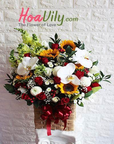 Hoa chúc mừng- Ngày nắng đẹp