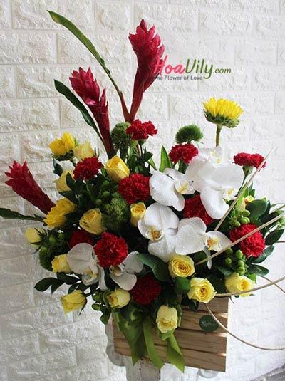 Hoa chúc mừng - Niềm tin chiến thắng