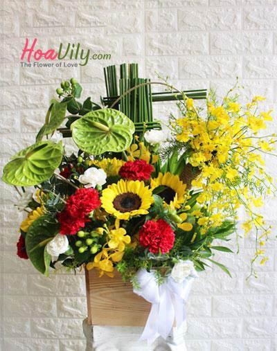 Hoa chúc mừng - Rạng ngời