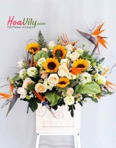 Hoa chúc mừng- Sự giàu sang