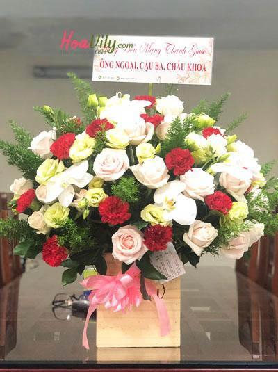 Hoa chúc mừng-  Sự sang trọng