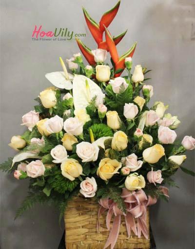 Hoa chúc mừng to và đẹp