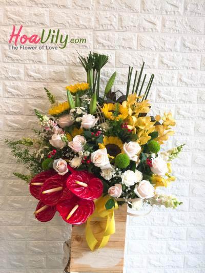 Hoa chúc mừng- Tương Lai Tươi Sáng