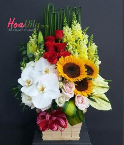 Hoa chúc mừng: Vinh quang
