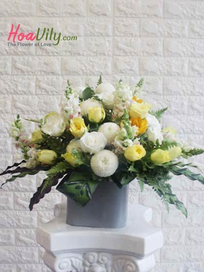 Hoa chúc mừng - Vũ điệu hè