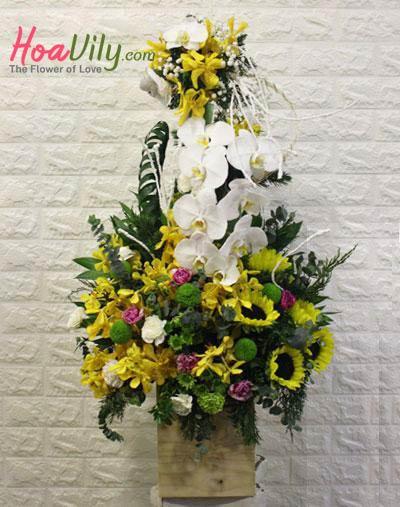 HOA CHÚC SỨC KHỎE - MÀU CỦA NẮNG