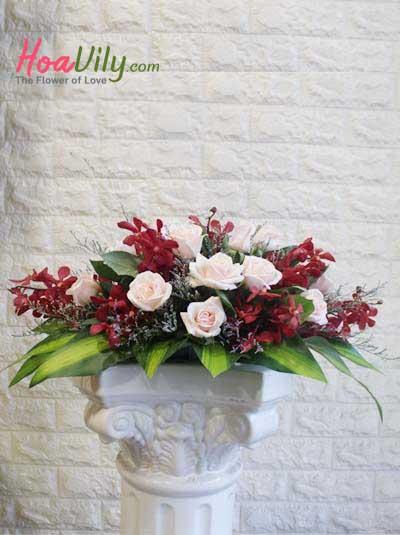 Hoa để bàn - Hồng dịu dàng