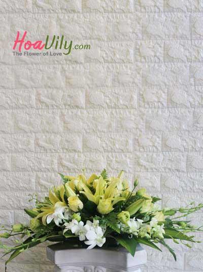 Hoa để bàn - Nắng ấm