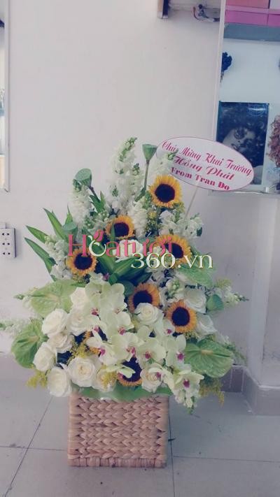 Hoa giỏ 28