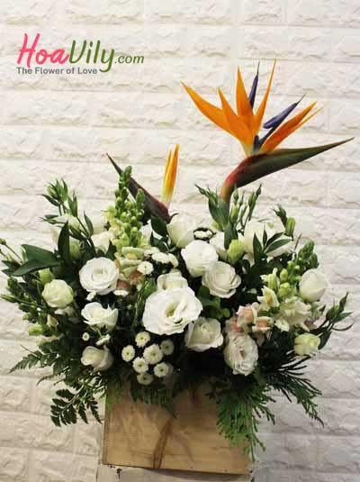 Hoa hộp gỗ- Chào ngày tươi sáng