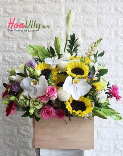 Hoa hộp gỗ: Động lực mới