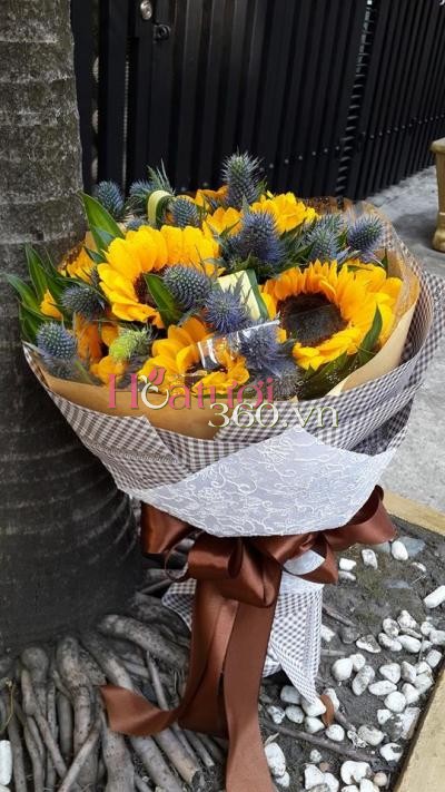 Hoa hướng dương 07_Hoa Tươi 360
