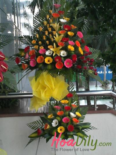 Hoa khai trương 52 _Hoa tươi 360